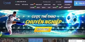 Top 3 nhà cái uy tín cá cược thể thao